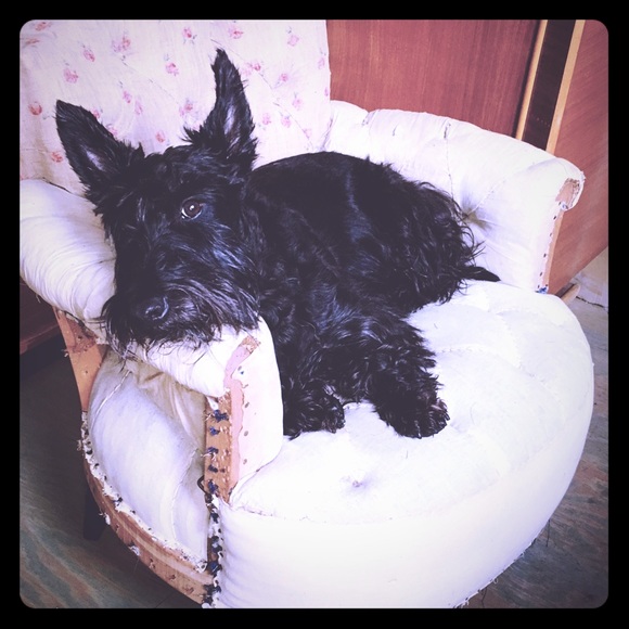 Meet your Posher, Robert - Picture 1 of 3